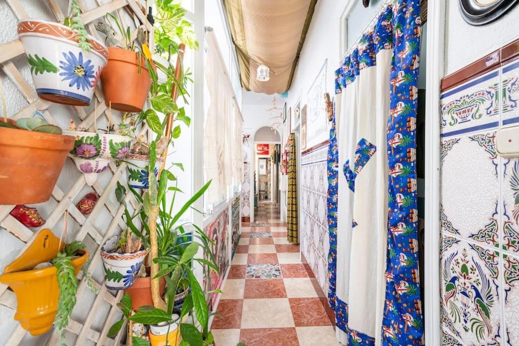 Habitaciones La Pepa Καντίζ Εξωτερικό φωτογραφία
